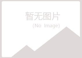 鹤壁山城谷雪冶炼有限公司